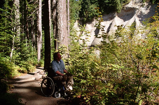 WheelchairPark